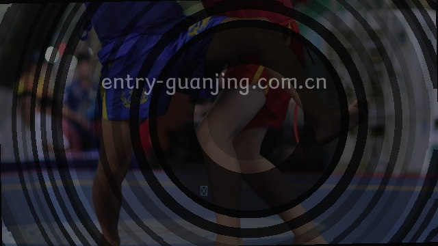 响应流程的步骤图，展示从起始到结束的路径。